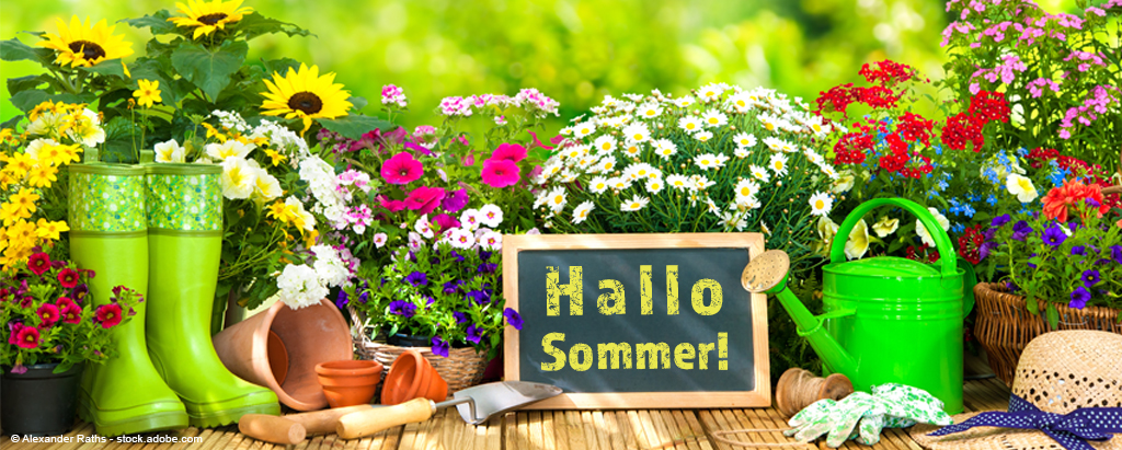 Hallo Sommer hallo Blumen in der Premium Grtnerei Frschl in Vohburg