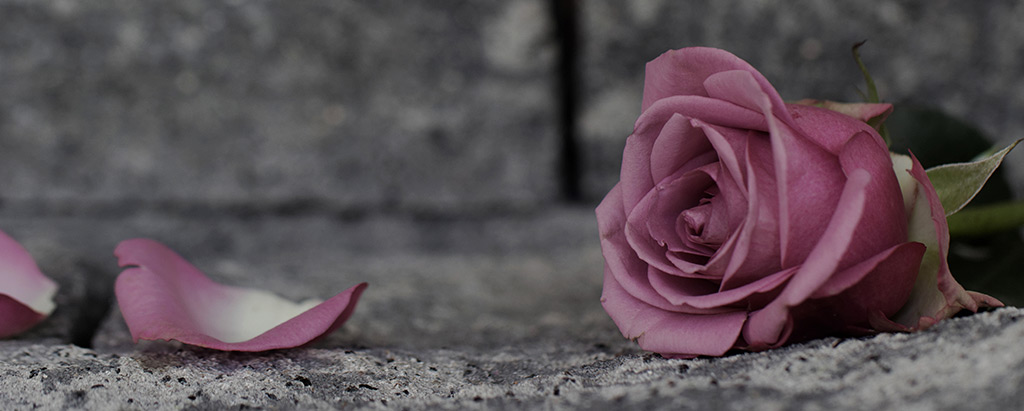 Trauerschmuck von Blumen Froeschl